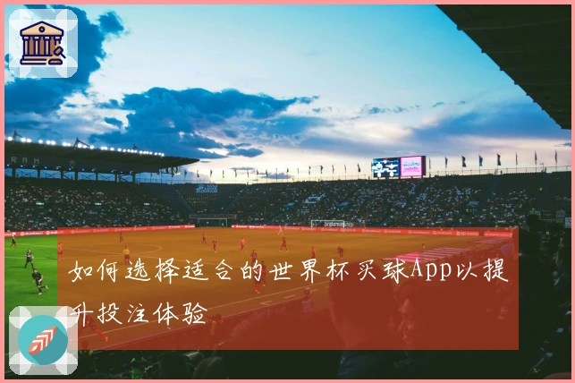 如何选择适合的世界杯买球App以提升投注体验