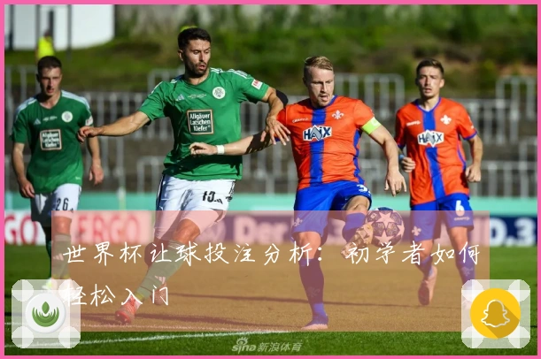 世界杯让球投注分析：初学者如何轻松入门