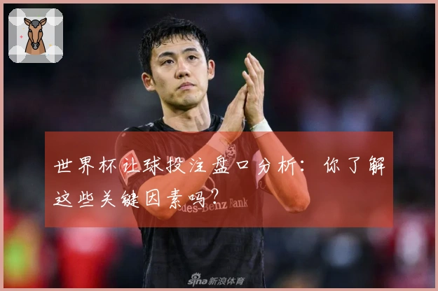 世界杯让球投注盘口分析：你了解这些关键因素吗？